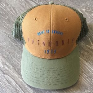 Patagonia Trucker Hat